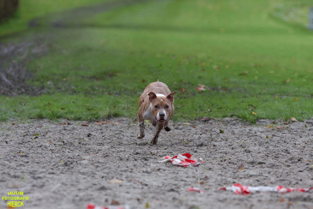 Ct3Q8821 37167357063 O