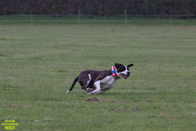 Ct3Q9050 37167387223 O