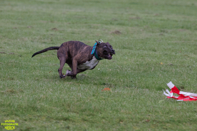 Ct3Q9040 37167388573 O