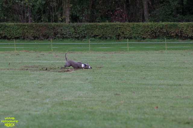 Ct3Q9029 37167390233 O