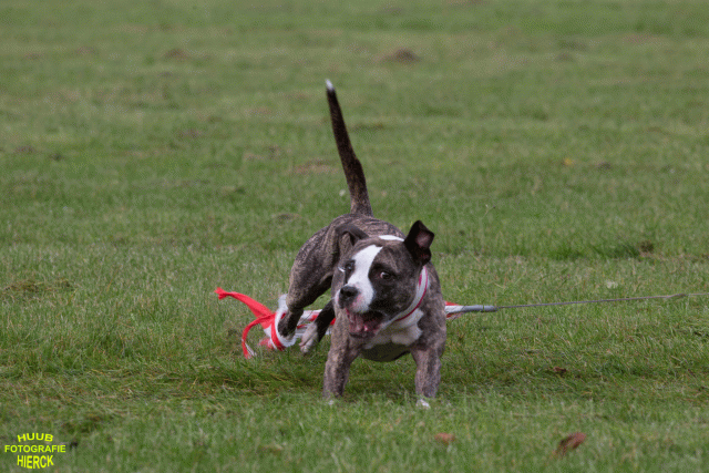 Ct3Q9025 37167390443 O