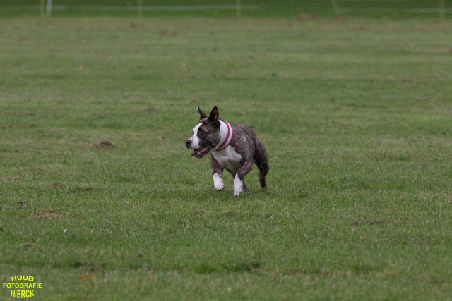 Ct3Q9022 37167390773 O