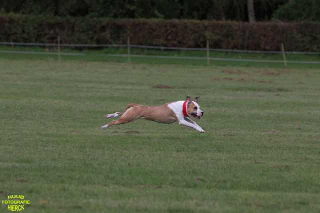 Ct3Q9020 37167390993 O