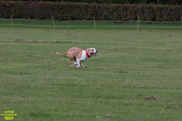 Ct3Q9017 37167391203 O