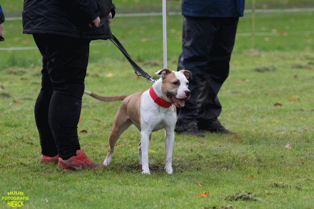 Ct3Q9014 37167391453 O