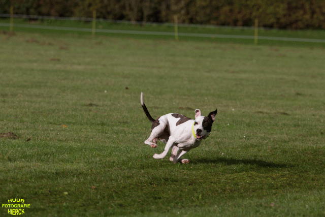 Ct3Q9011 37167391613 O