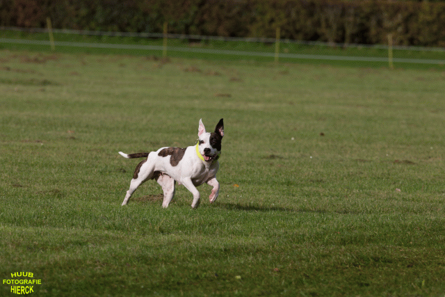 Ct3Q9009 37167391703 O