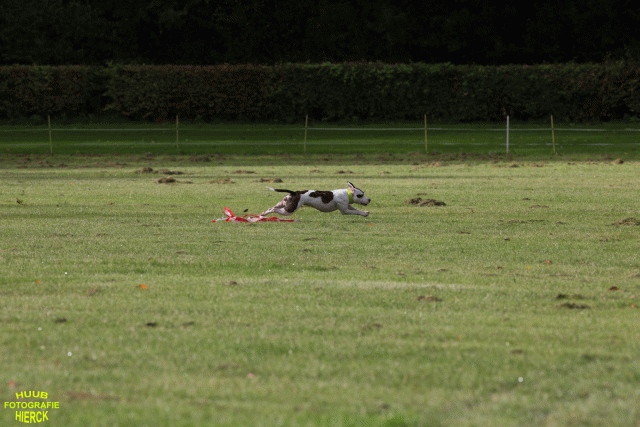 Ct3Q9006 37167391973 O