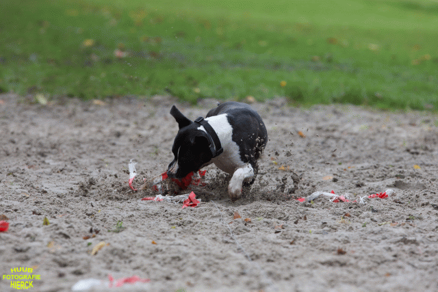 Ct3Q8776 37177270594 O