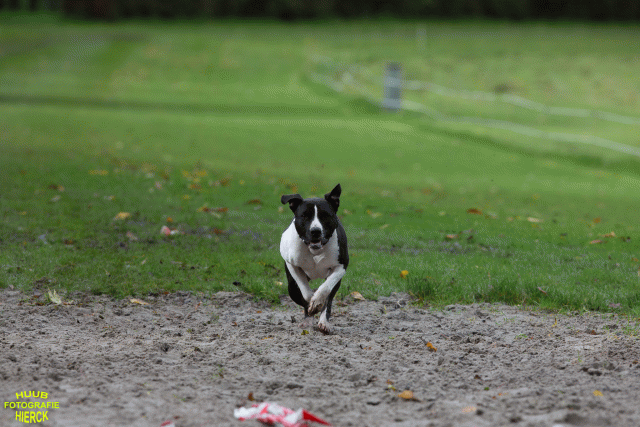 Ct3Q8771 37177270724 O