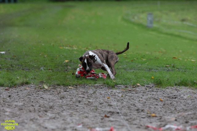 Ct3Q8766 37177270874 O