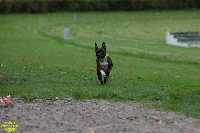 Ct3Q8752 37177271784 O