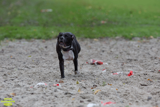 Ct3Q8750 37177271914 O