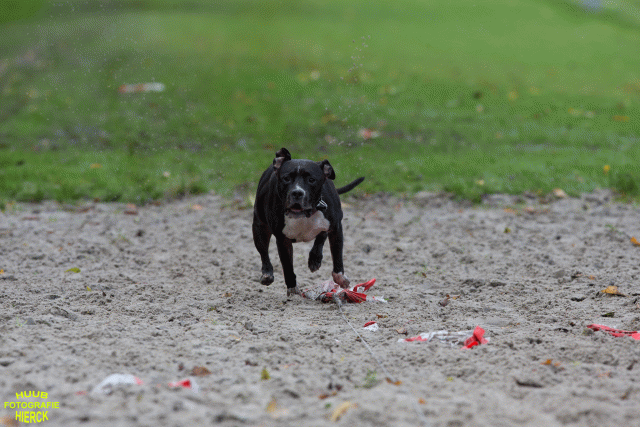 Ct3Q8747 37177272044 O