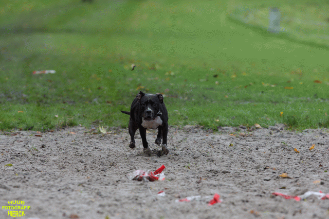 Ct3Q8744 37177272204 O