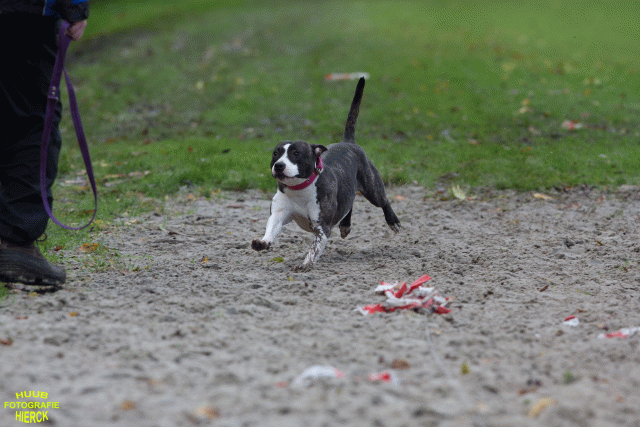 Ct3Q8735 37177273154 O