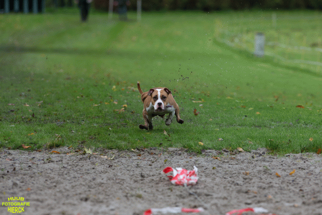 Ct3Q8599 24035182318 O