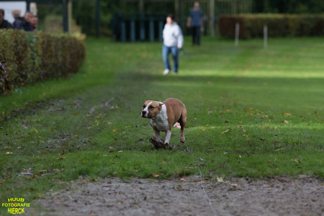 Ct3Q8564 24035186268 O