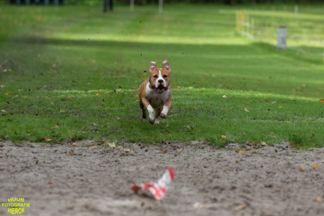 Ct3Q8555 24035186568 O