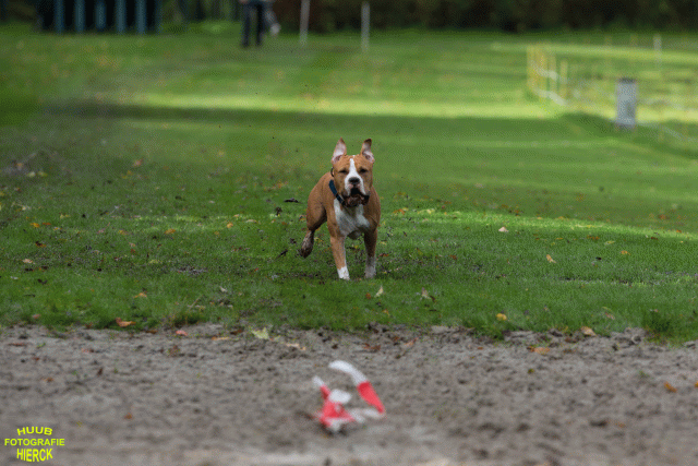 Ct3Q8553 24035186848 O