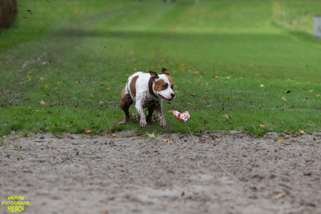 Ct3Q8550 24035187108 O