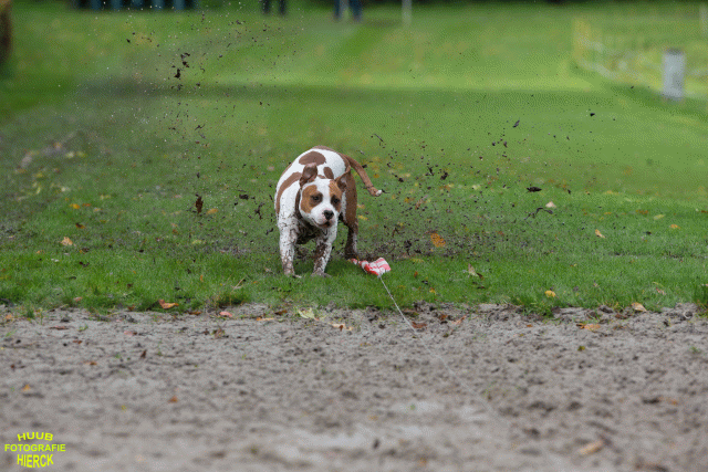 Ct3Q8547 24035187348 O