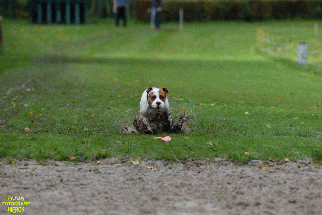 Ct3Q8544 24035187538 O