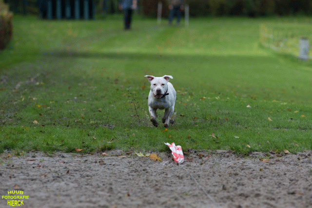 Ct3Q8536 24035188988 O