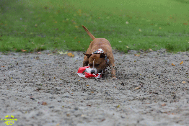 Ct3Q8535 24035189838 O