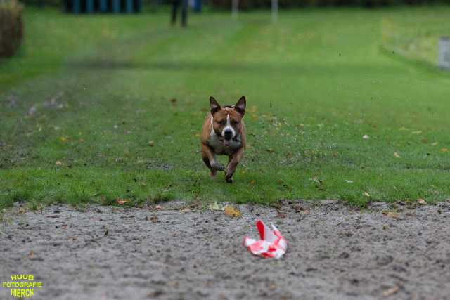 Ct3Q8531 24035191028 O