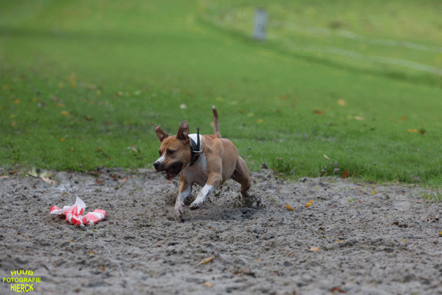 Ct3Q8526 24035191348 O