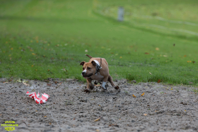 Ct3Q8525 24035191358 O