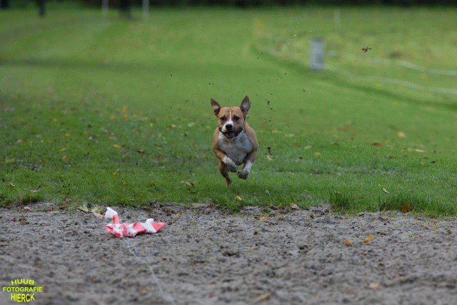 Ct3Q8522 24035191528 O