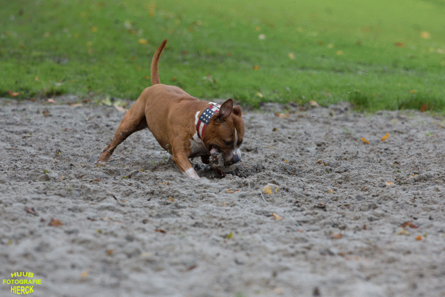 Ct3Q8520 24035191638 O