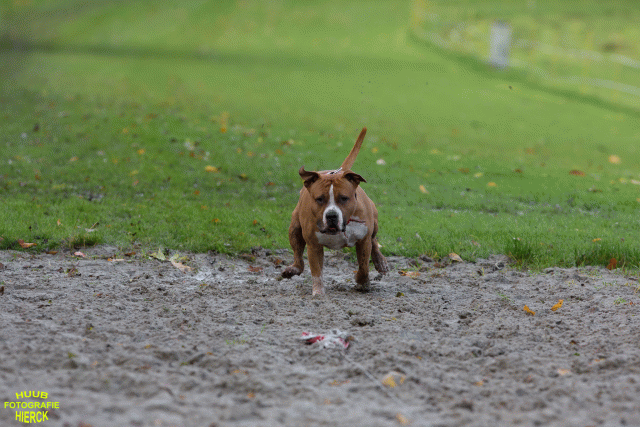 Ct3Q8519 24035191708 O