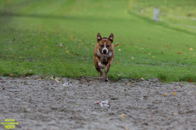 Ct3Q8518 24035191948 O