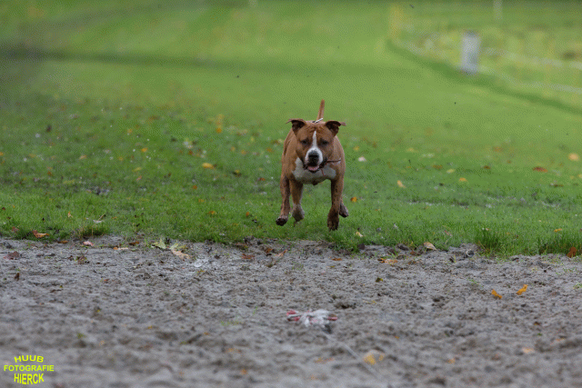 Ct3Q8517 24035192028 O