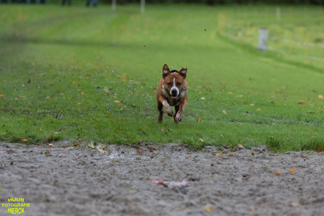 Ct3Q8515 24035192198 O