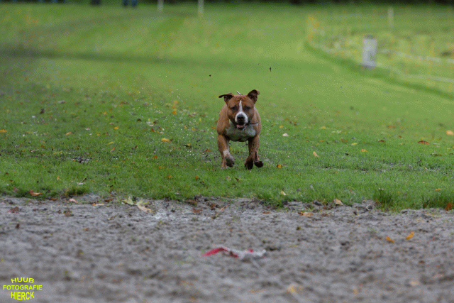 Ct3Q8514 24035192228 O