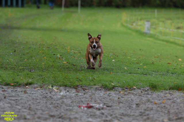 Ct3Q8511 24035192508 O