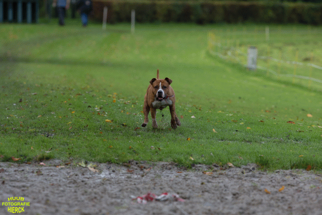 Ct3Q8510 24035192548 O