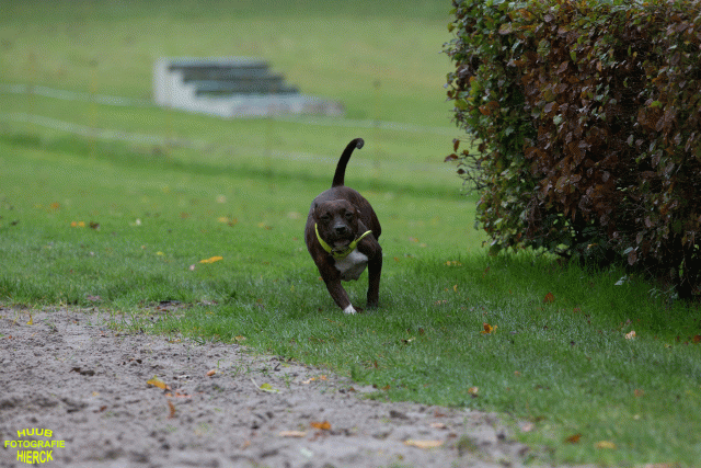 Ct3Q8506 24035194268 O