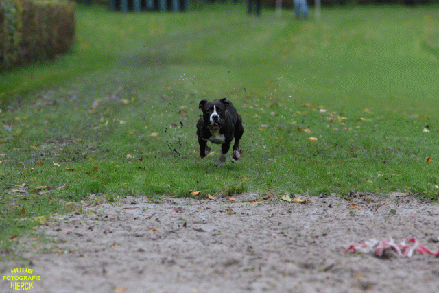 Ct3Q8491 24035195698 O