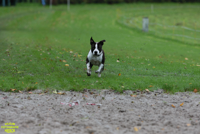 Ct3Q8486 24035196258 O