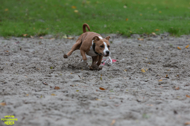 Ct3Q8483 24035196578 O