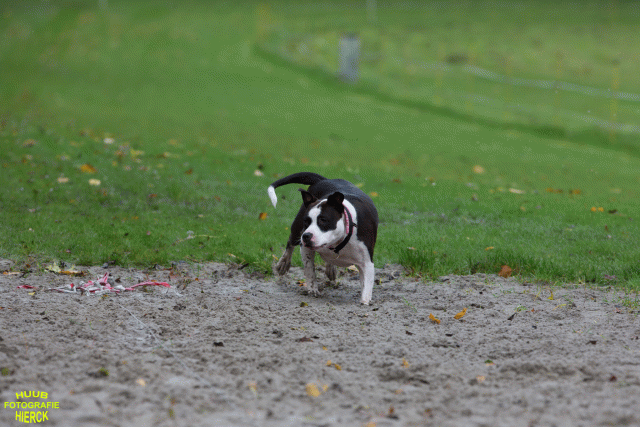 Ct3Q8477 24035197488 O