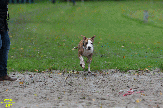 Ct3Q8469 24035197778 O