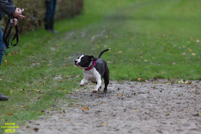 Ct3Q8461 24035198148 O