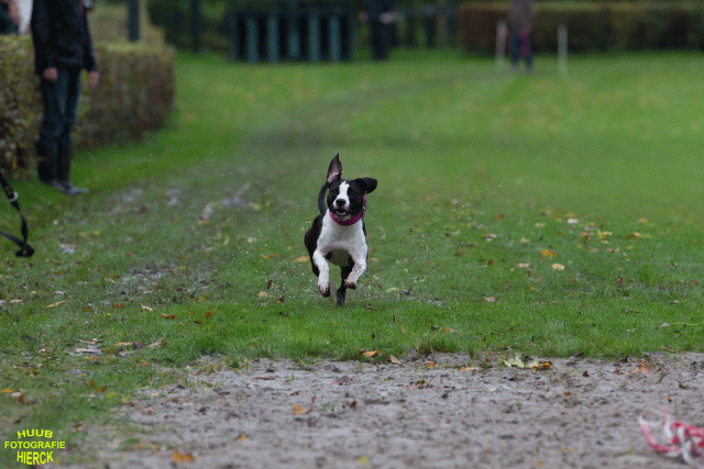 Ct3Q8455 24035198538 O