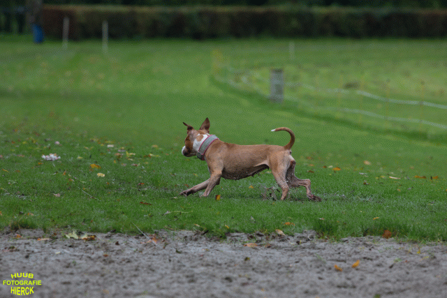 Ct3Q8453 24035198728 O